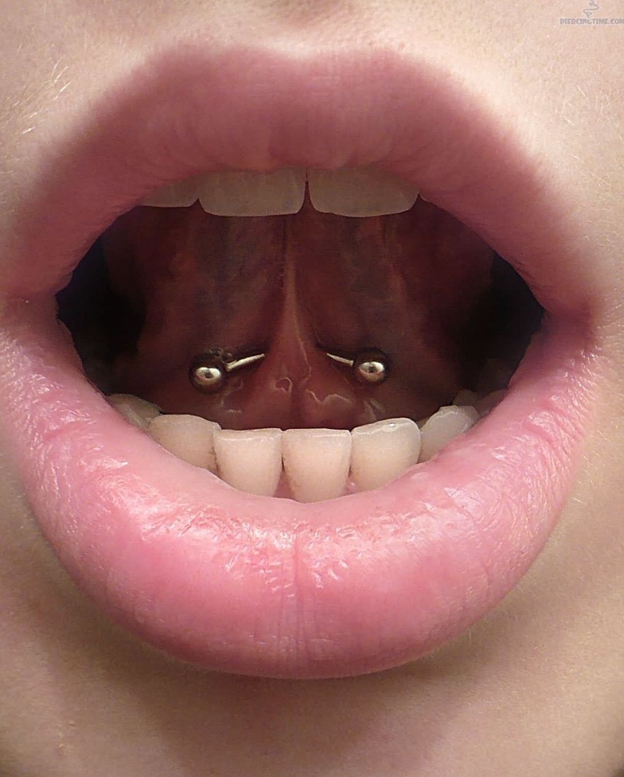 Piercing: Servicios de Vertikal Tattoo Studio Piercing: Servicios de Vertikal Tattoo Studio