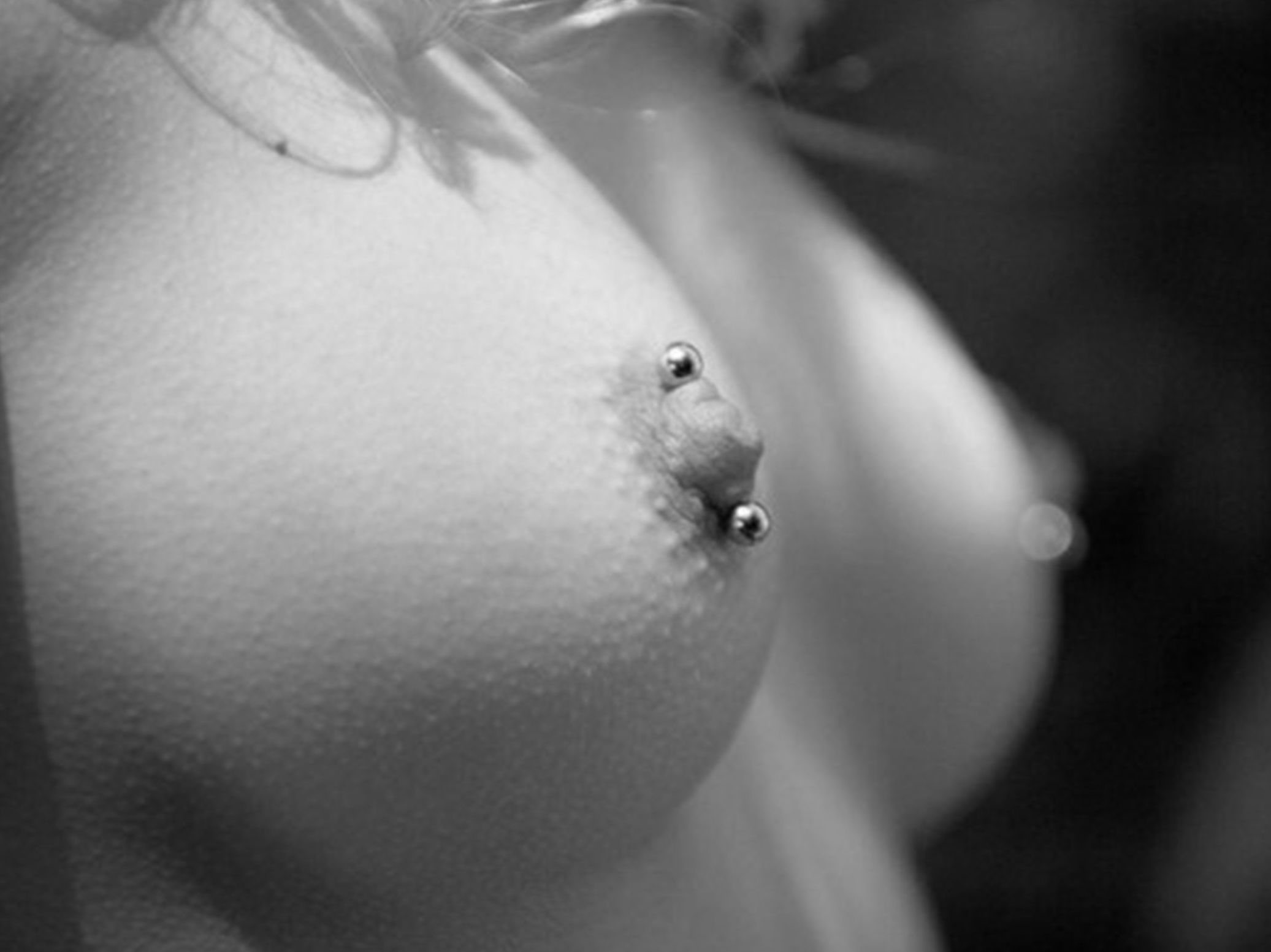 Piercing: Servicios de Vertikal Tattoo Studio Piercing: Servicios de Vertikal Tattoo Studio