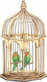 Otras jaulas para aves y roedores: ARTICULOS de Piensos Alonso Otras jaulas para aves y roedores: ARTICULOS de Piensos Alonso