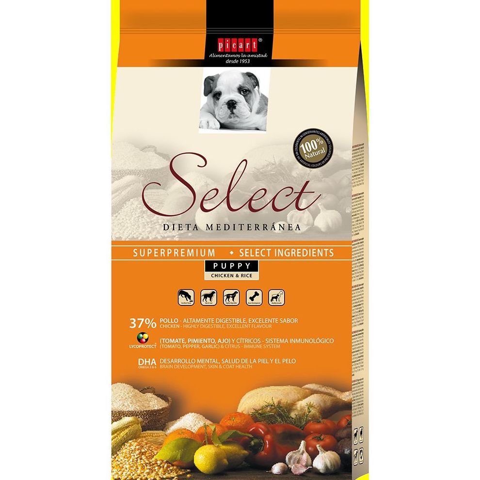ALIMENTAMOS A TU PERRO: ARTICULOS de Piensos Alonso ALIMENTAMOS A TU PERRO: ARTICULOS de Piensos Alonso