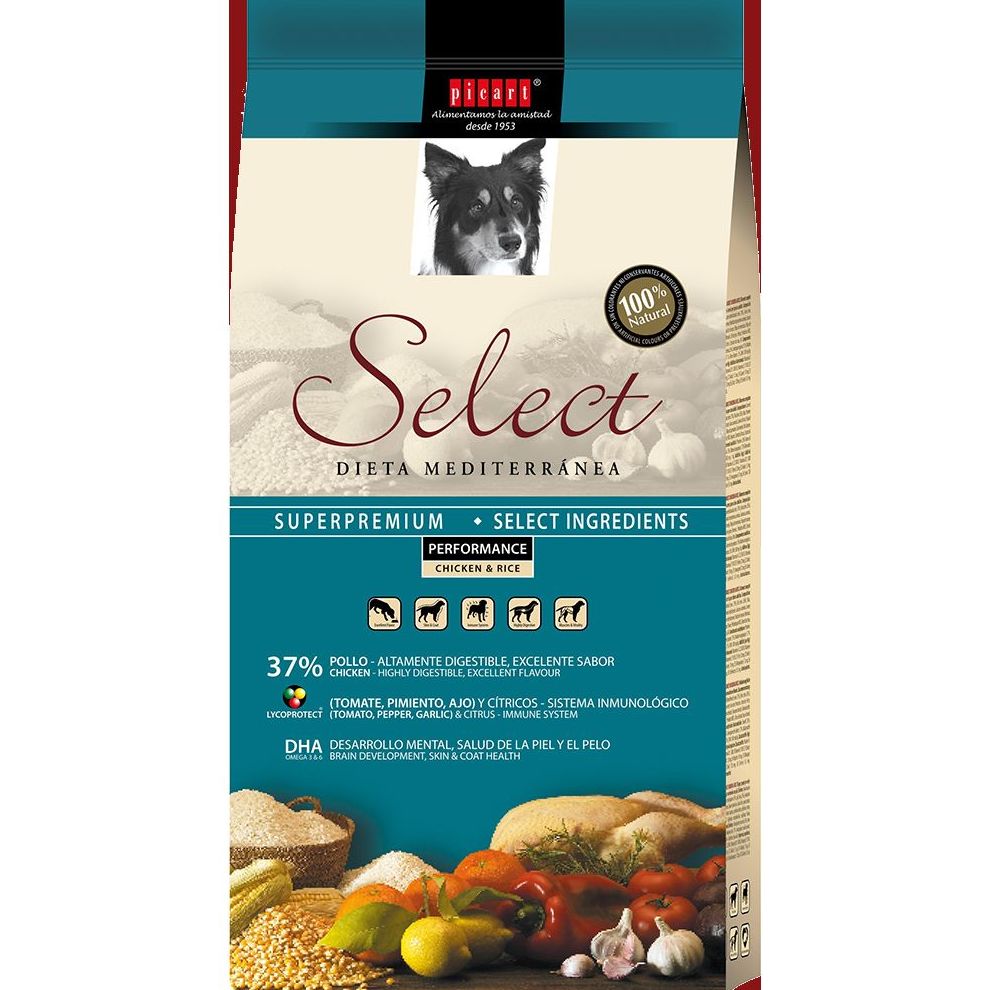 ALIMENTAMOS A TU PERRO: ARTICULOS de Piensos Alonso ALIMENTAMOS A TU PERRO: ARTICULOS de Piensos Alonso