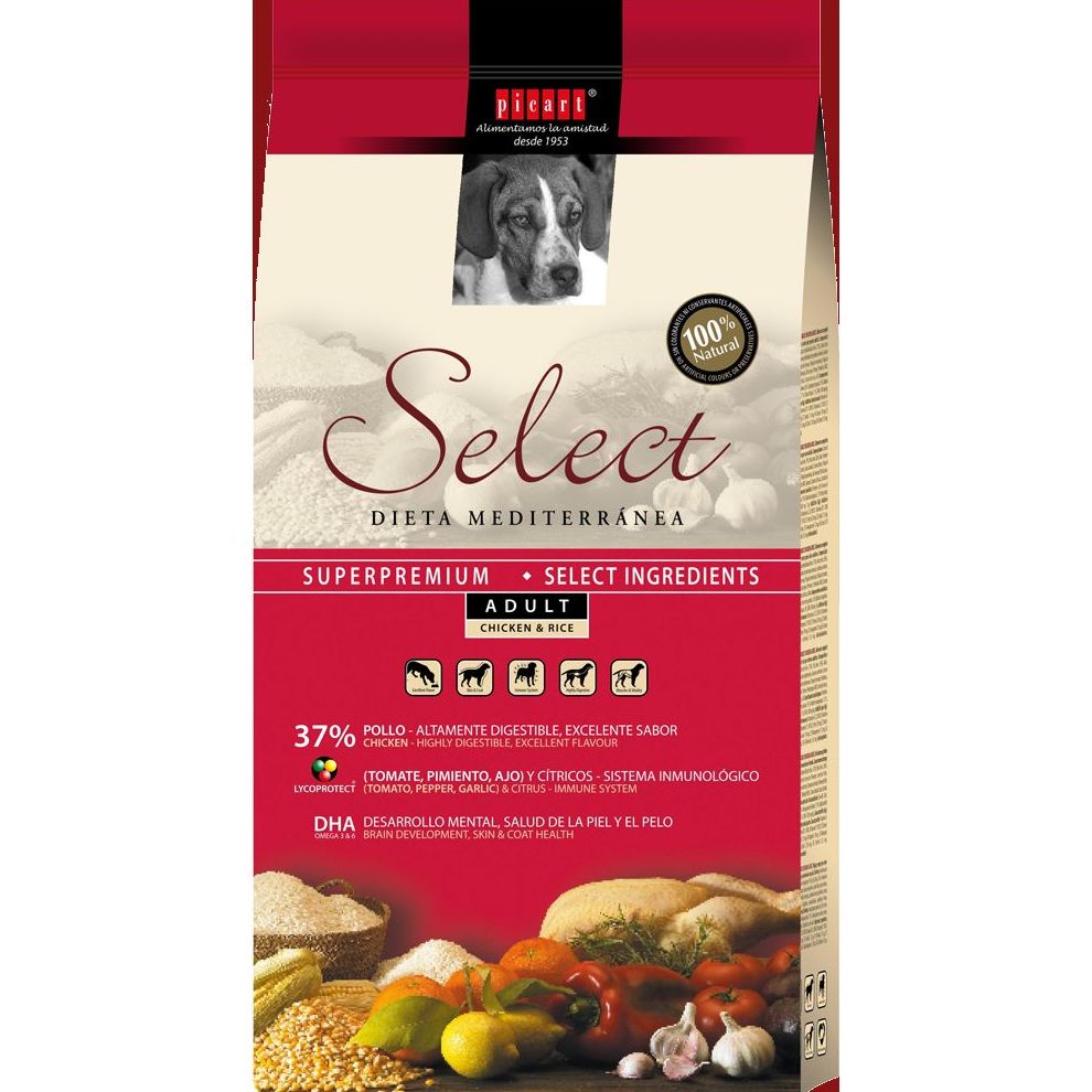 ALIMENTAMOS A TU PERRO: ARTICULOS de Piensos Alonso ALIMENTAMOS A TU PERRO: ARTICULOS de Piensos Alonso