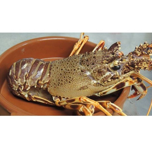 Mariscos: Carta de Es Boldadó Ibiza Mariscos: Carta de Es Boldadó Ibiza