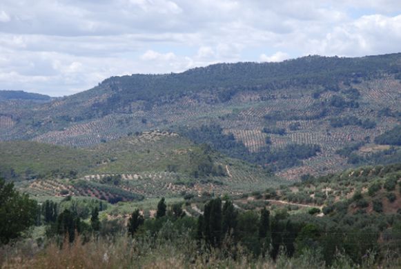 Hidrogeología y Medio Ambiente: Servicios de Igea Consultoría y Laboratorio Hidrogeología y Medio Ambiente: Servicios de Igea Consultoría y Laboratorio