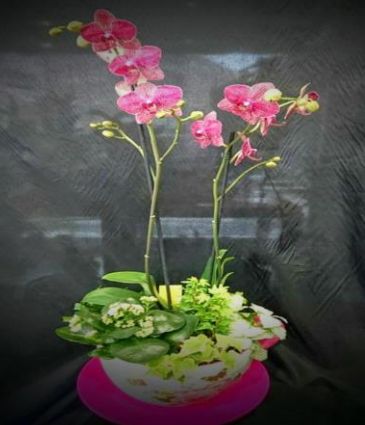 Taza XL: Floristería de Floristería Imabel Taza XL: Floristería de Floristería Imabel