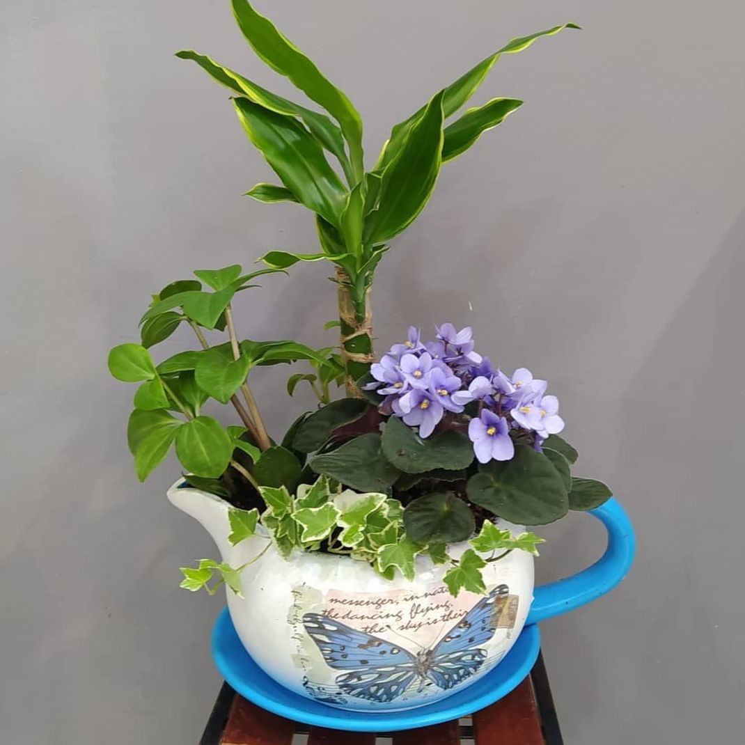Taza L: Floristería de Floristería Imabel Taza L: Floristería de Floristería Imabel