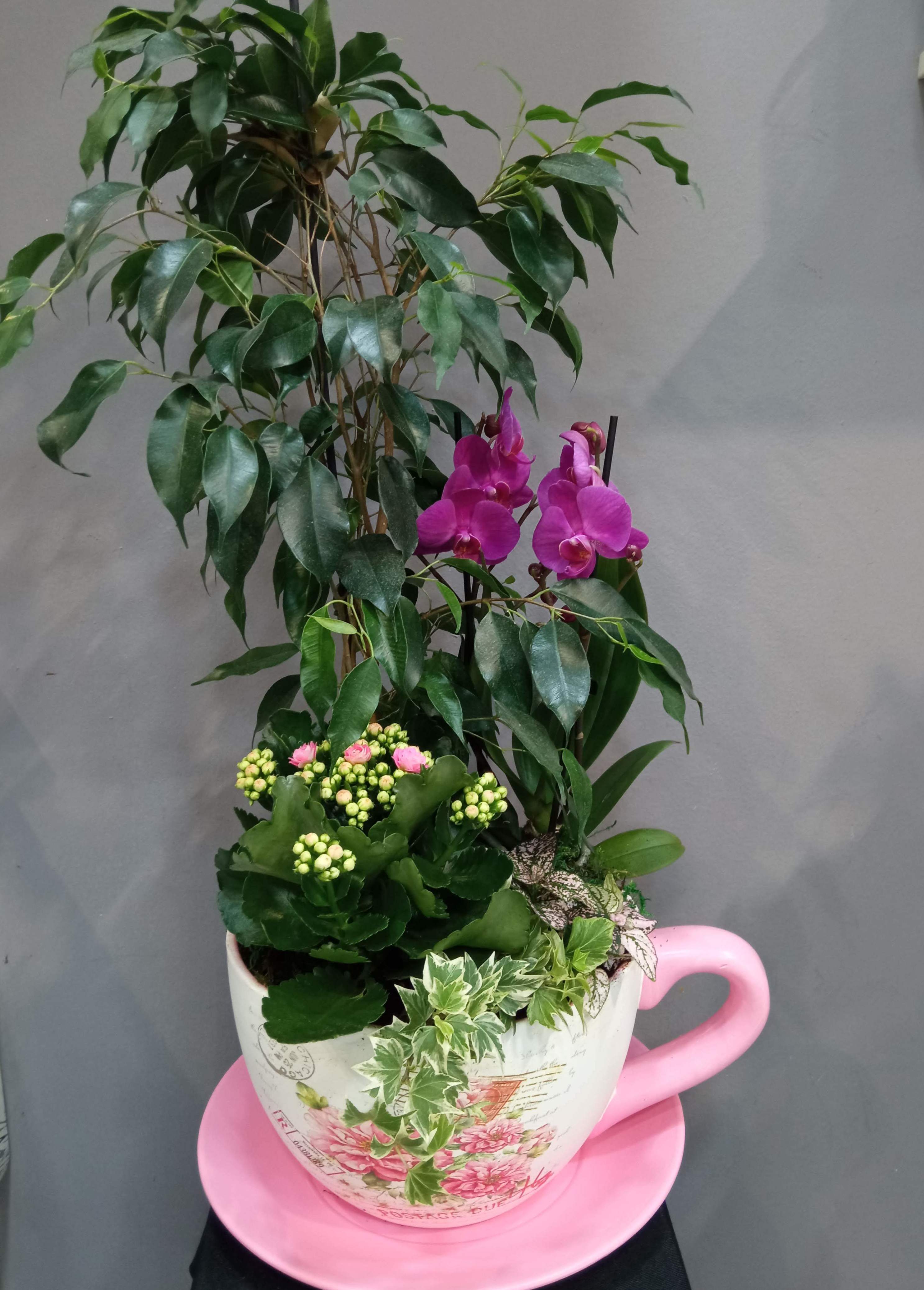 Taza XL: Floristería de Floristería Imabel Taza XL: Floristería de Floristería Imabel