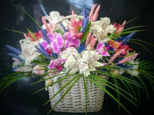 Cesta PRIMAVERA: Floristería de Floristería Imabel Cesta PRIMAVERA: Floristería de Floristería Imabel