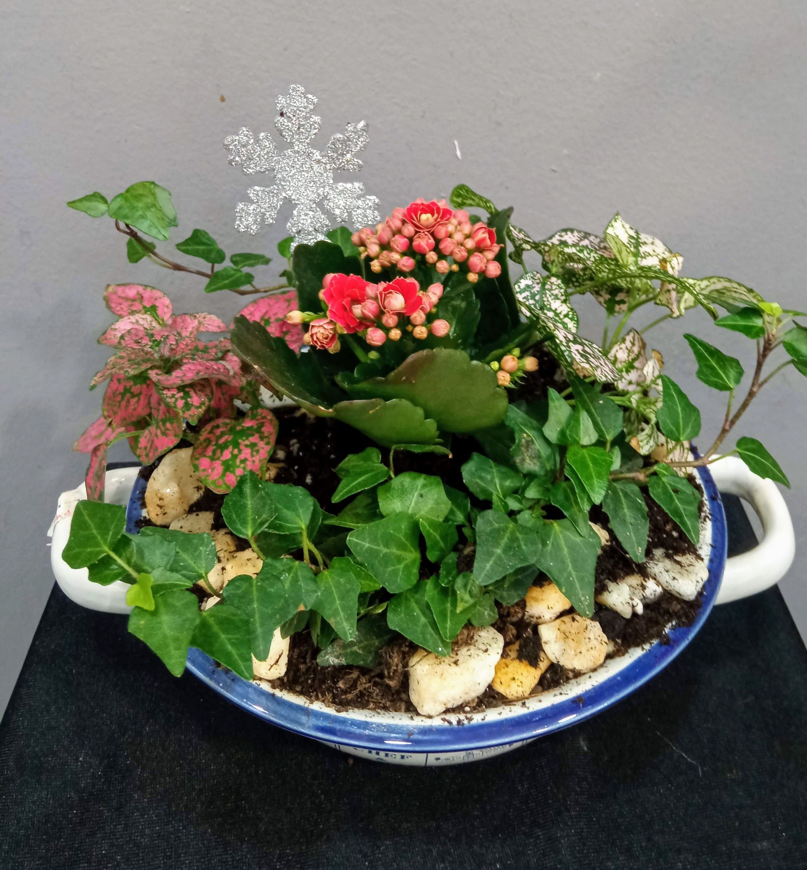 Conjunto de plantas S: Floristería de Floristería Imabel Conjunto de plantas S: Floristería de Floristería Imabel