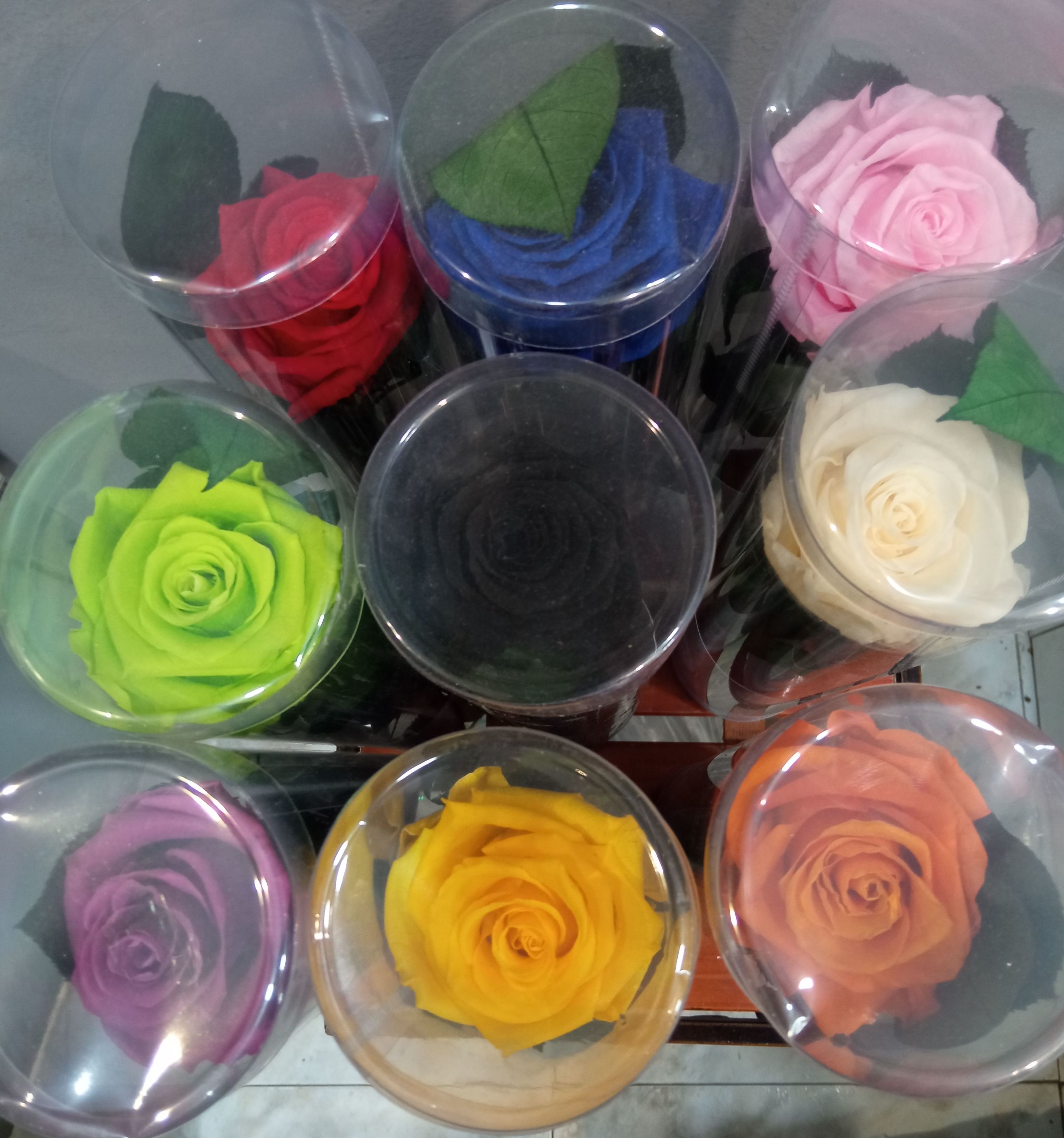 Rosa preservada: Floristería de Floristería Imabel Rosa preservada: Floristería de Floristería Imabel