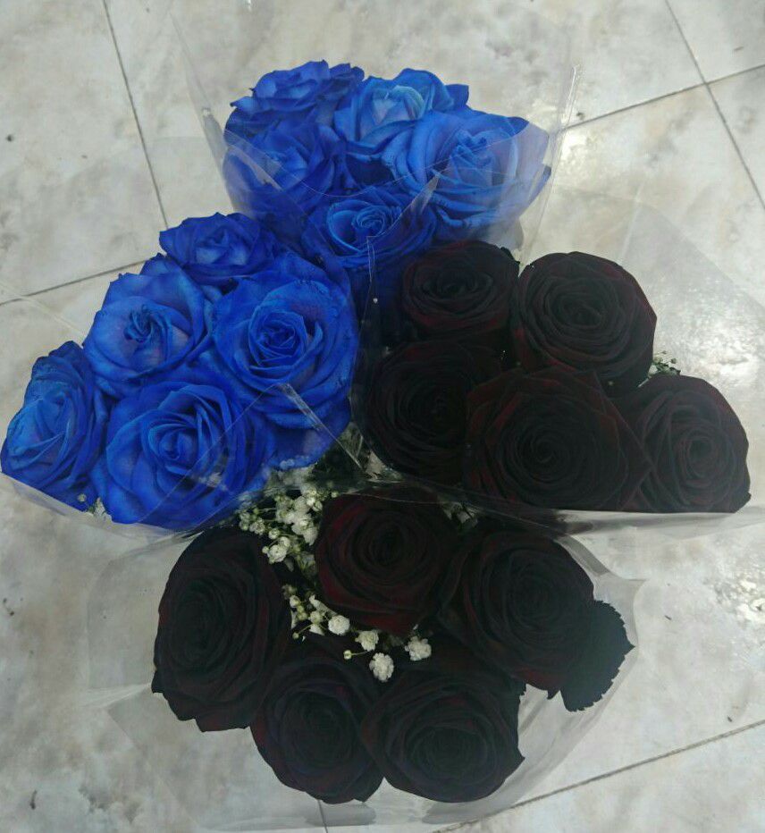 Rosas negras y azules en Barakaldo