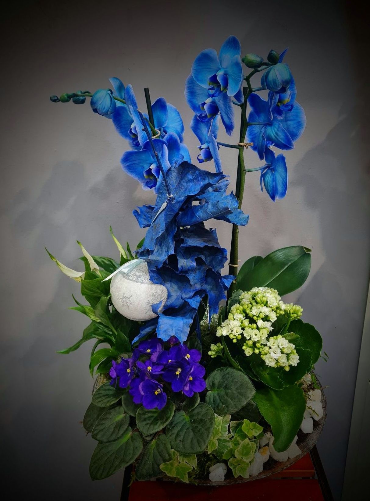 Conjunto de plantas L: Floristería de Floristería Imabel Conjunto de plantas L: Floristería de Floristería Imabel