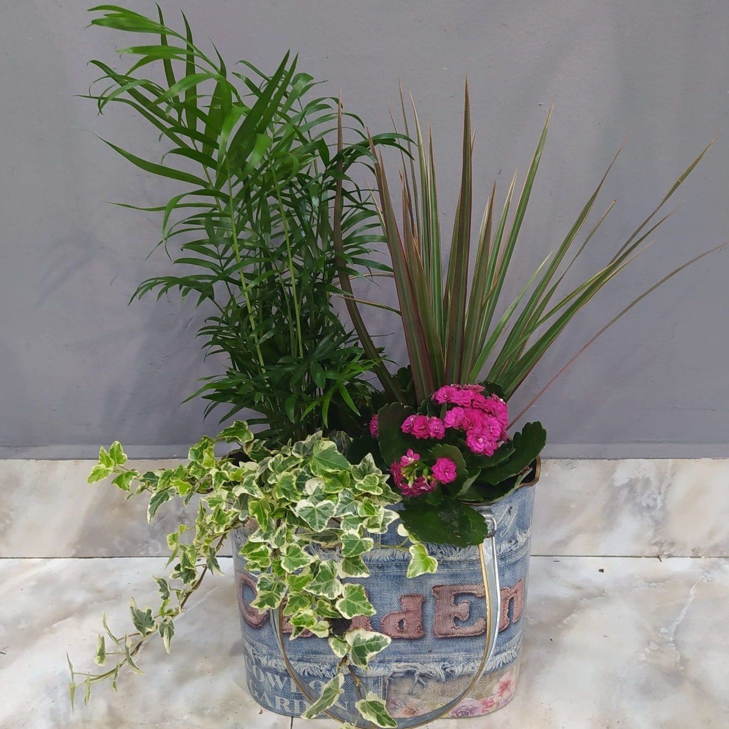 Conjunto de plantas M: Floristería de Floristería Imabel Conjunto de plantas M: Floristería de Floristería Imabel