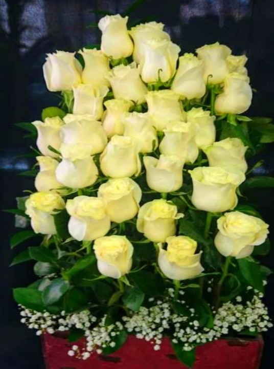 Centro WHITE: Floristería de Floristería Imabel Centro WHITE: Floristería de Floristería Imabel