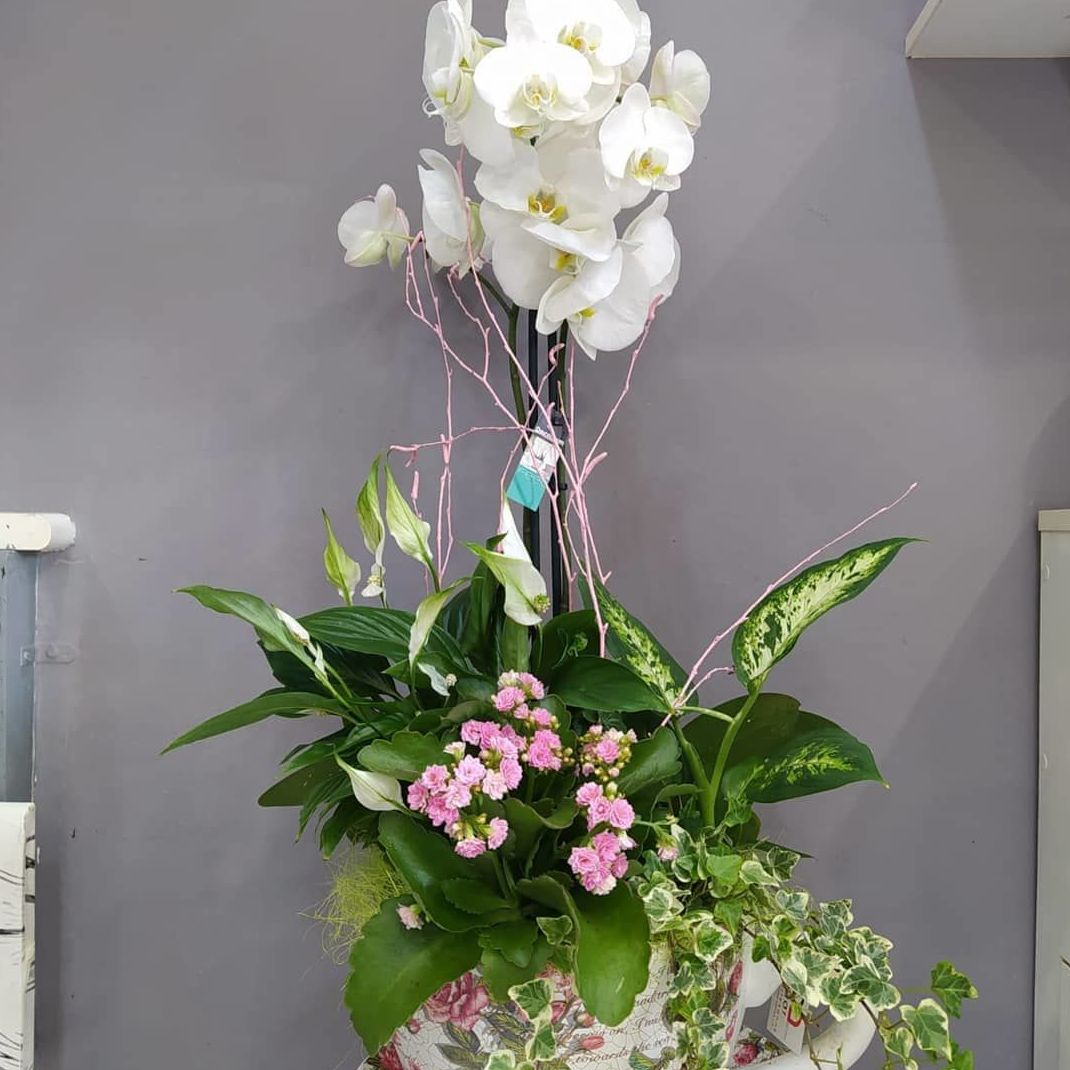 Taza XL: Floristería de Floristería Imabel Taza XL: Floristería de Floristería Imabel