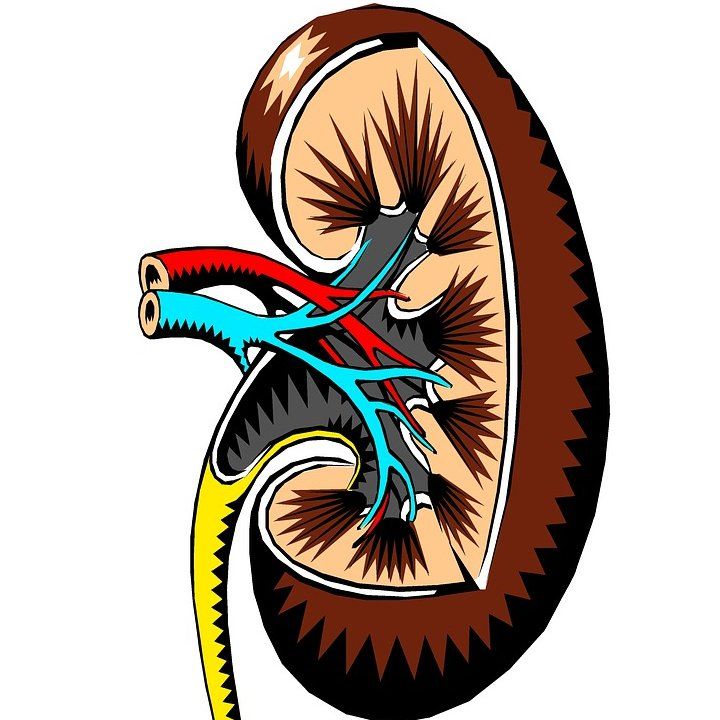 Urología: ESPECIALIDADES de Policlínica Centrosalud Urología: ESPECIALIDADES de Policlínica Centrosalud