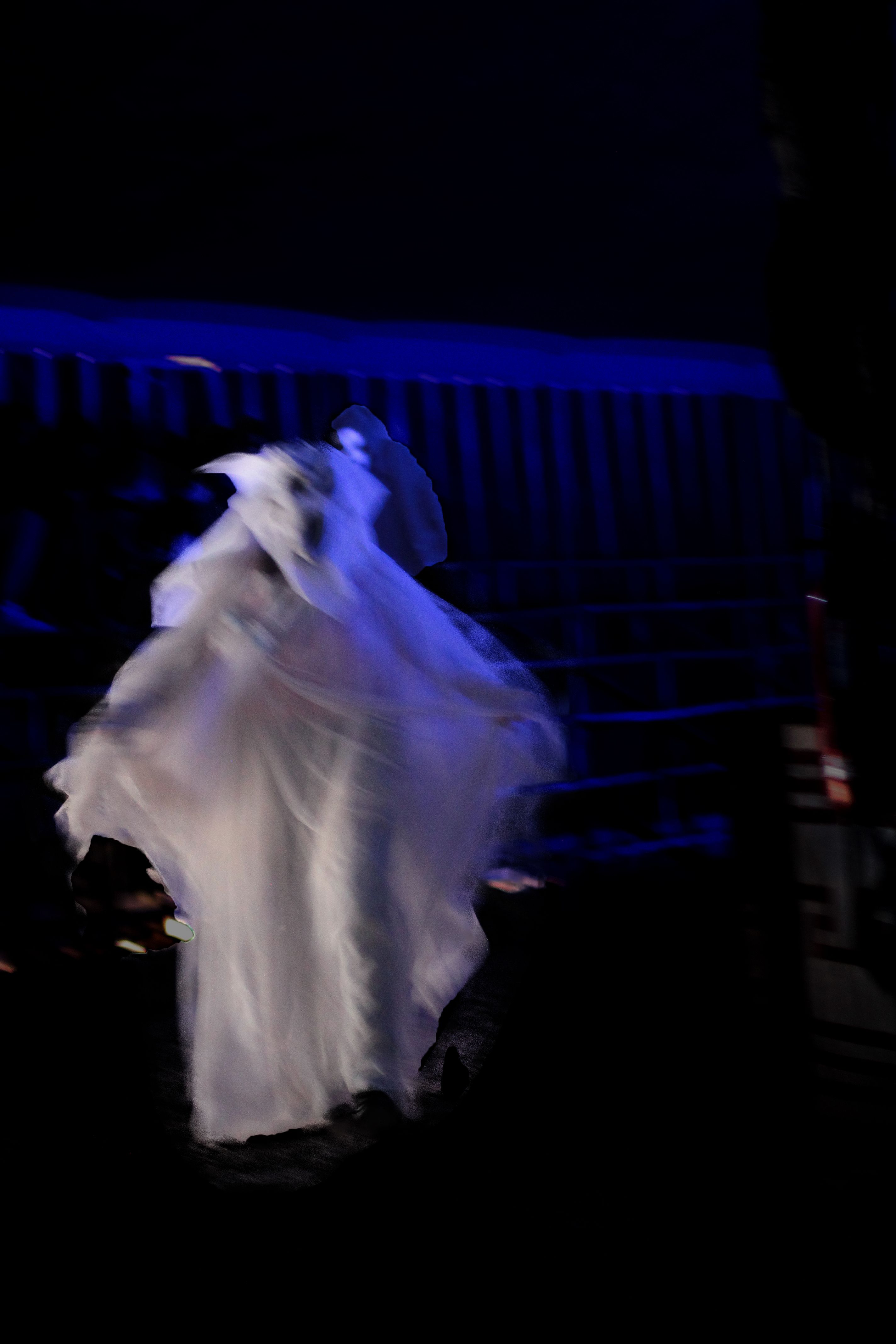 Foto 12 de Actuaciones artísticas y musicales en  | Circo Del Terror Familiar