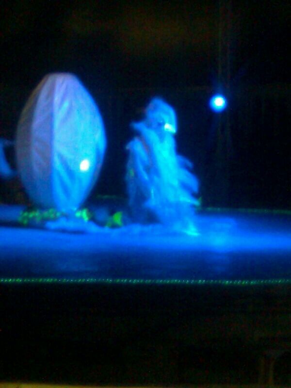 Foto 9 de Actuaciones artísticas y musicales en  | Circo Del Terror Familiar