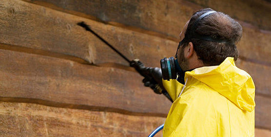 Control de plagas Control de plagas