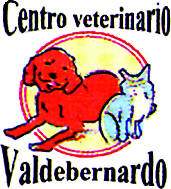 Foto 1 de Veterinarios en Madrid | Centro Veterinario Valdebernardo Foto 1 de Veterinarios en Madrid | Centro Veterinario Valdebernardo