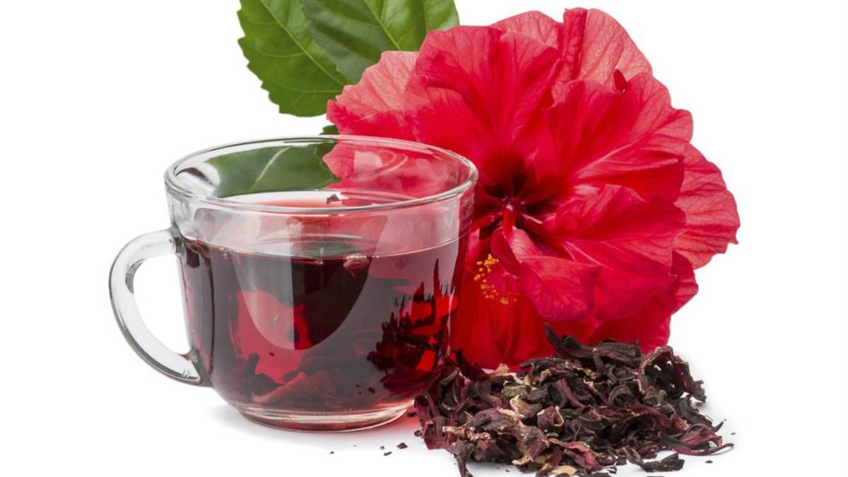 Fitoterapia: Productos de Herbolario D'Magnolia Fitoterapia: Productos de Herbolario D'Magnolia