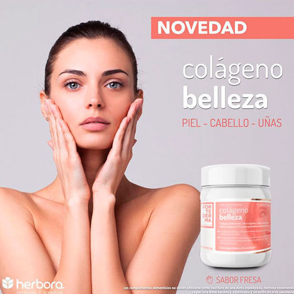 Suplementos nutricionales: Productos de Herbolario D'Magnolia Suplementos nutricionales: Productos de Herbolario D'Magnolia