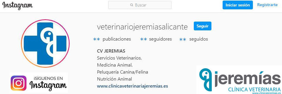 Foto 13 de Clínica veterinaria en  | Clínica Jeremías