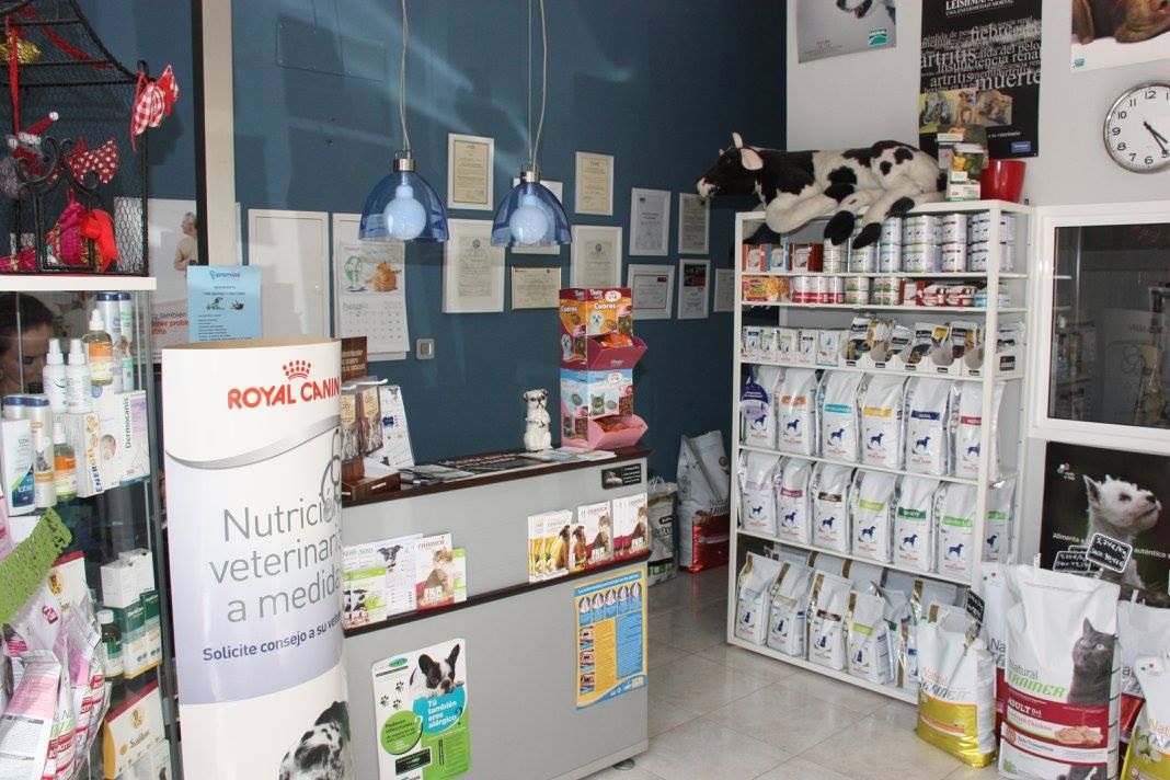 Urgencias 24 horas. Tel 655768406: Servicios de Clínica Veterinaria Jeremías Urgencias 24 horas. Tel 655768406: Servicios de Clínica Veterinaria Jeremías