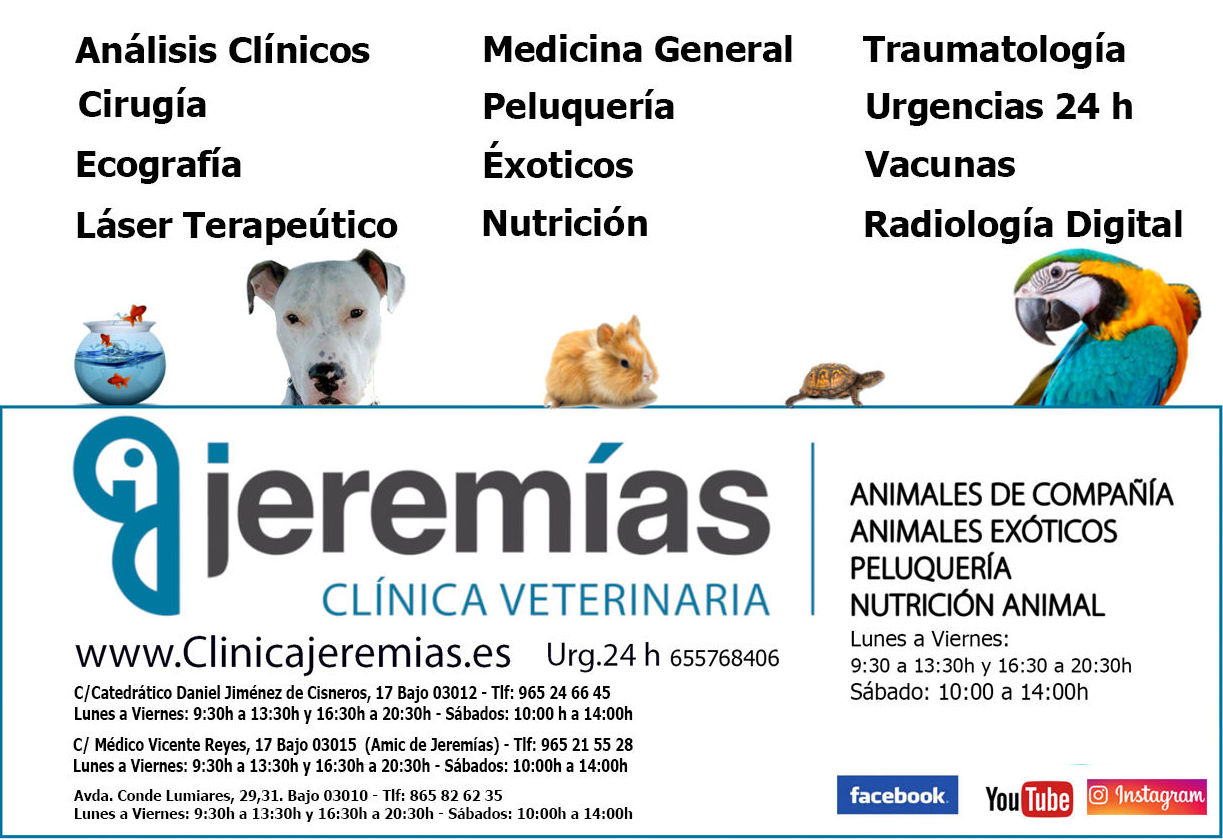 Foto 1 de Clínica veterinaria en  | Clínica Jeremías