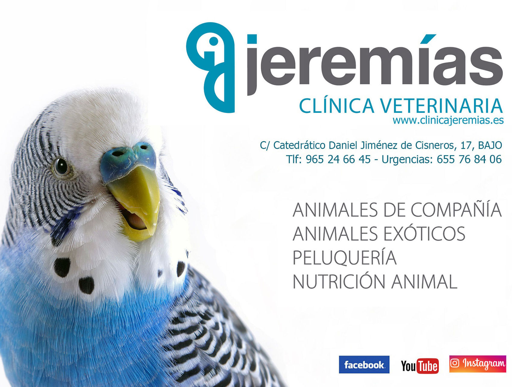 Foto 2 de Clínica veterinaria en  | Clínica Jeremías