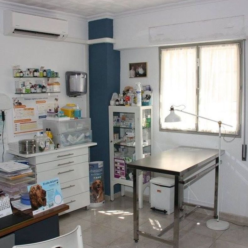 Consultas generales: Servicios de Clínica Veterinaria Jeremías Consultas generales: Servicios de Clínica Veterinaria Jeremías