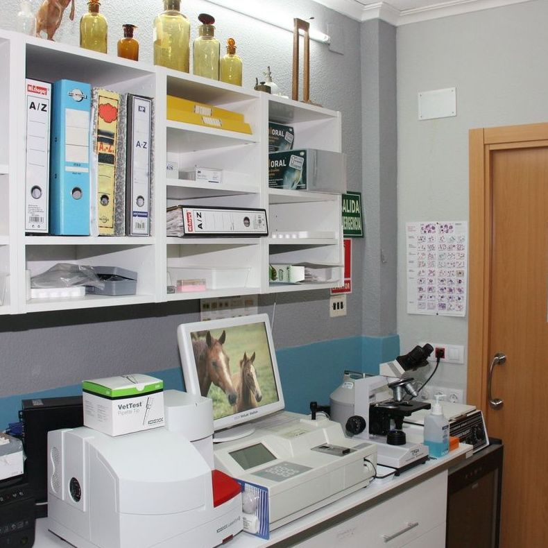Analíticas: Servicios de Clínica Veterinaria Jeremías Analíticas: Servicios de Clínica Veterinaria Jeremías