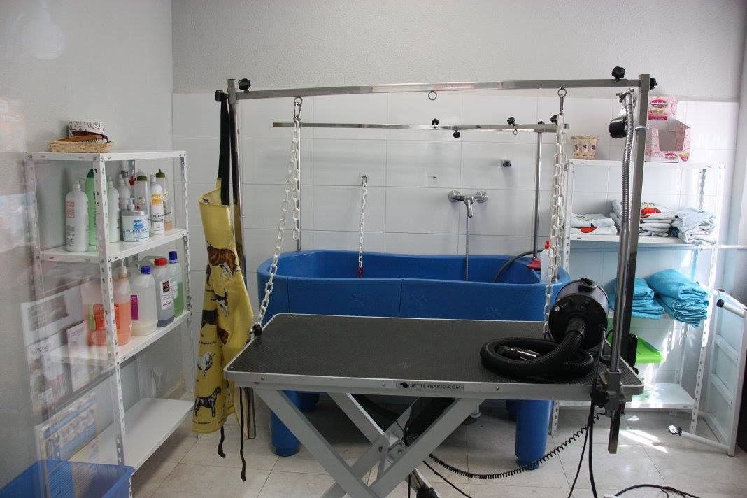 Peluquería canina y felina: Servicios de Clínica Veterinaria Jeremías Peluquería canina y felina: Servicios de Clínica Veterinaria Jeremías