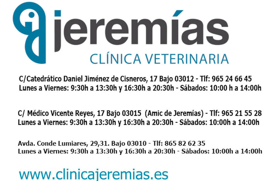 Foto 3 de Clínica veterinaria en  | Clínica Jeremías