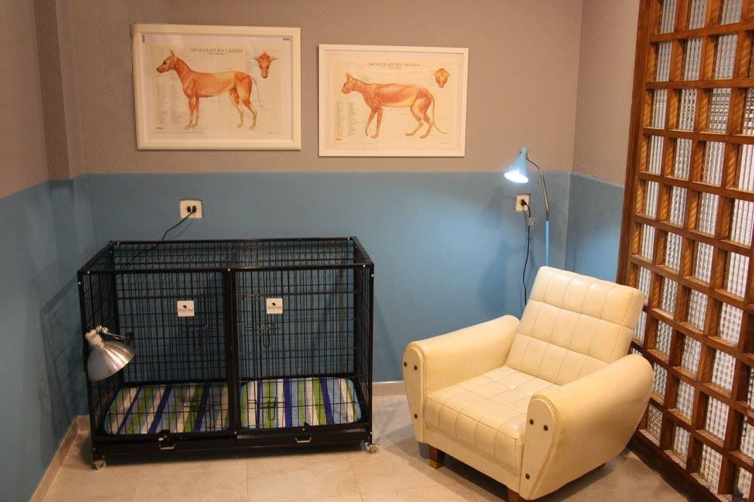 Cirugía y hospitalización: Servicios de Clínica Veterinaria Jeremías Cirugía y hospitalización: Servicios de Clínica Veterinaria Jeremías