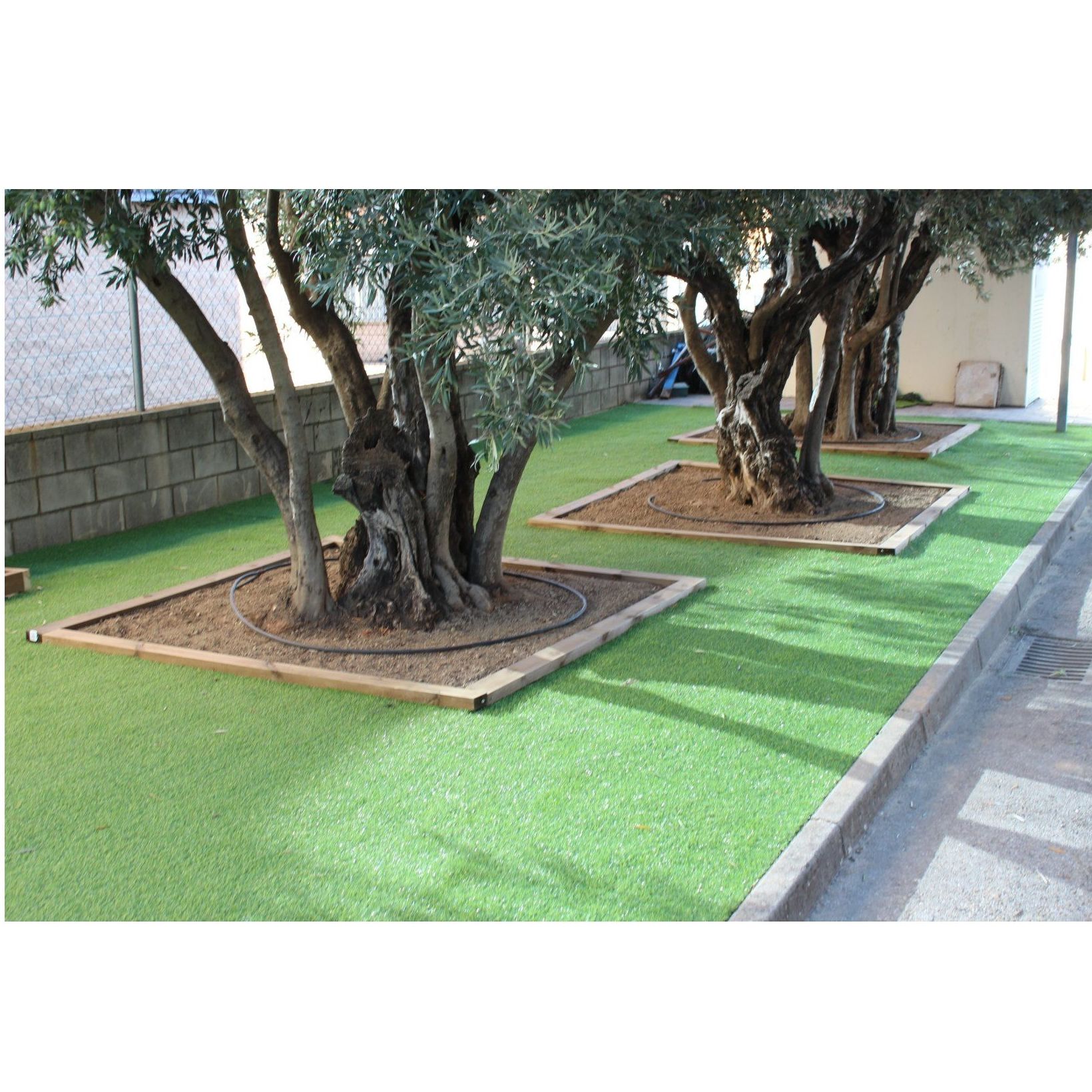 Mantenimiento de jardines: Servicios de Manglobal 2013 SL Mantenimiento de jardines: Servicios de Manglobal 2013 SL