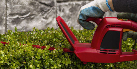 Jardinería: Servicios de Manglobal 2013 SL Jardinería: Servicios de Manglobal 2013 SL