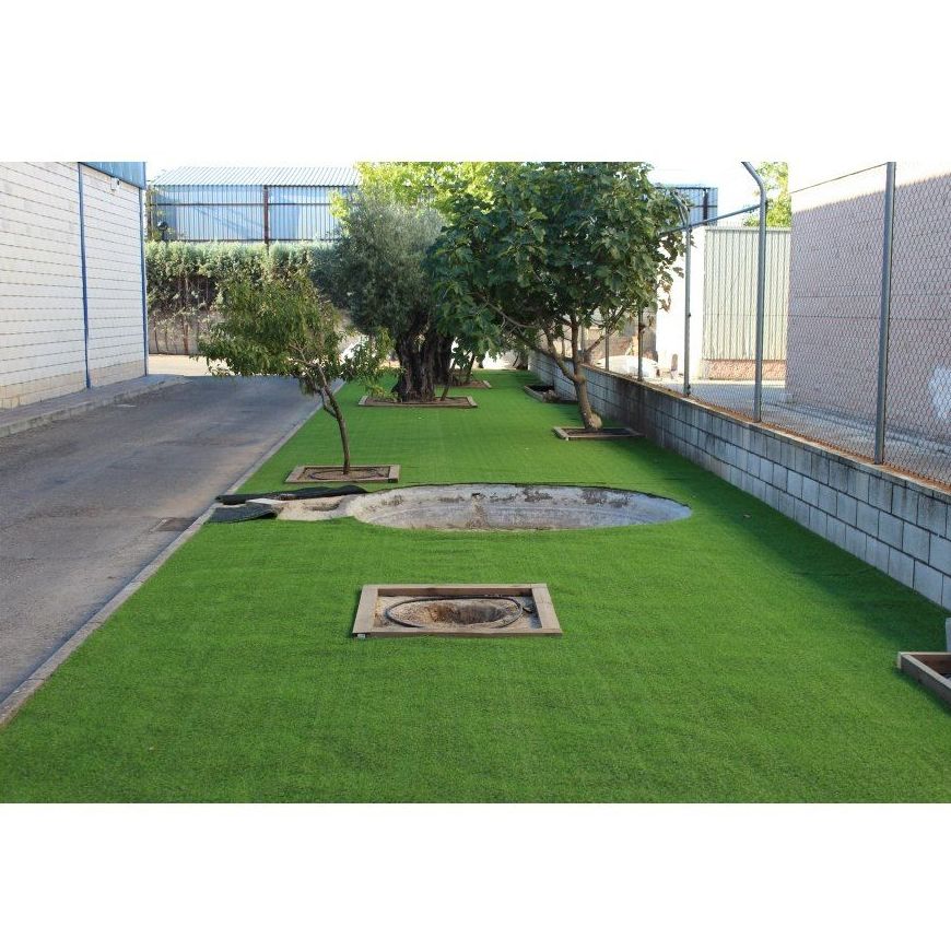 Mantenimiento de jardines: Servicios de Manglobal 2013 SL Mantenimiento de jardines: Servicios de Manglobal 2013 SL