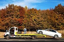 Los vehículos de auxilio en carretera no tendrán restricciones de movimiento }}