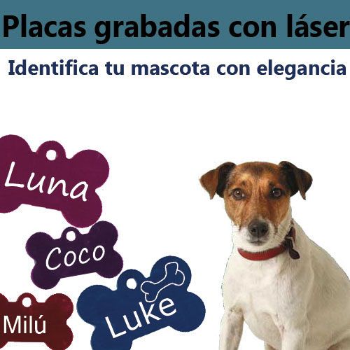 Grabado para identificar a tu mascota en  Málaga