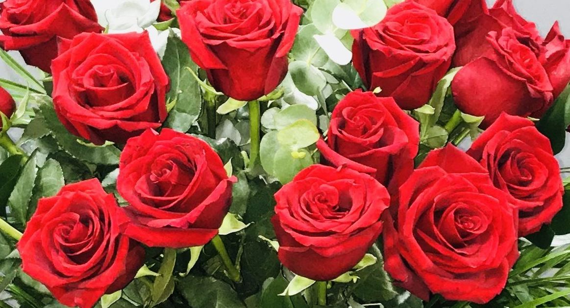 24 Rosas rojas : Productos de Flores Madrid 24 Rosas rojas : Productos de Flores Madrid