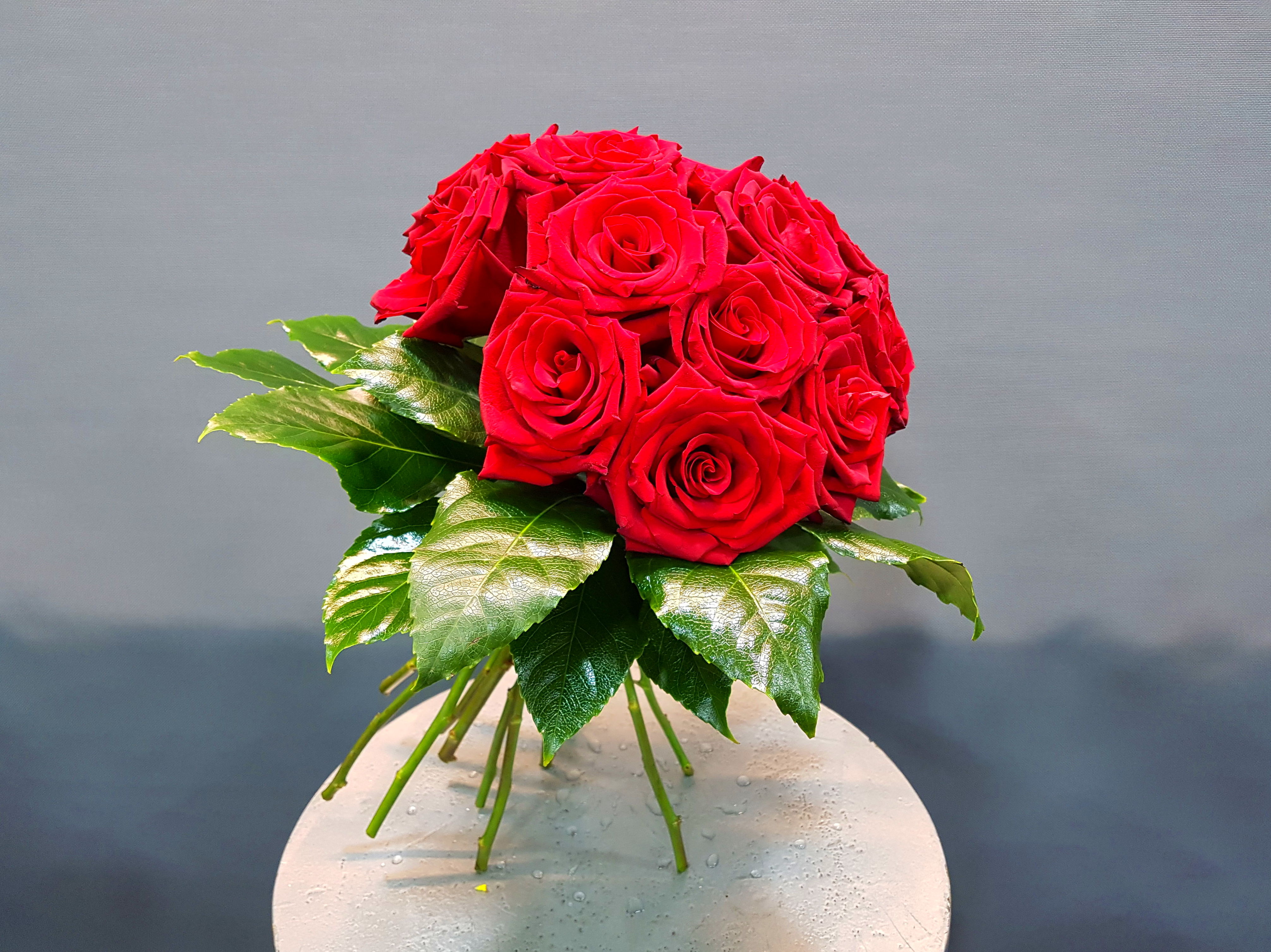 15 rosas rojas : Productos de Flores Madrid 15 rosas rojas : Productos de Flores Madrid