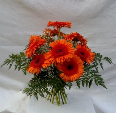 Guadarrama: Productos de Flores Madrid Guadarrama: Productos de Flores Madrid