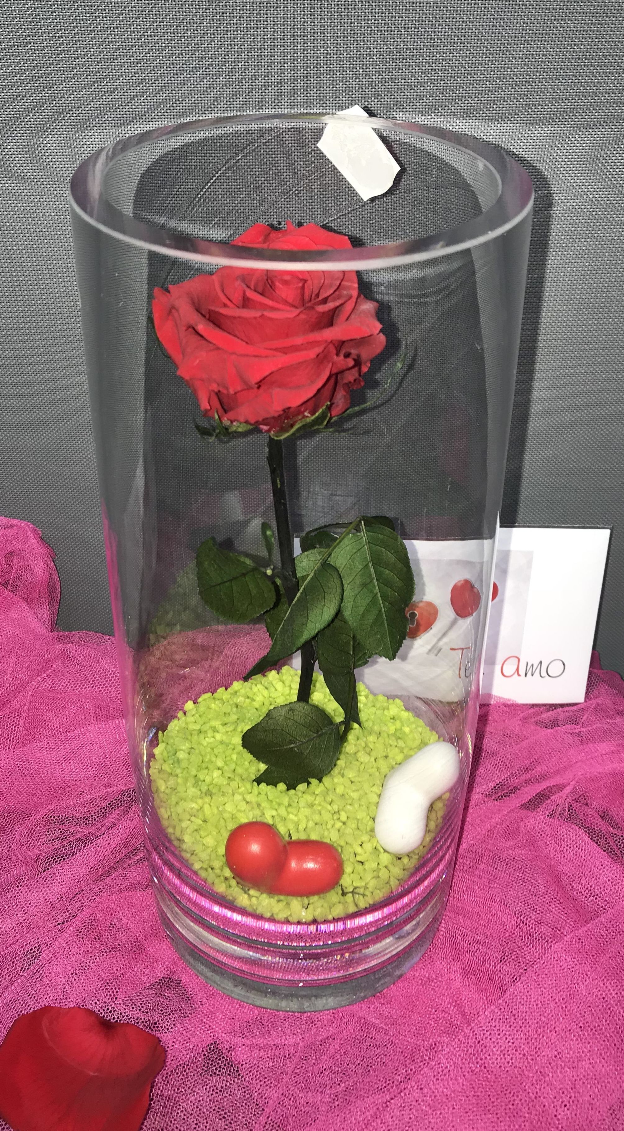 Rosas Eternas : Productos de Flores Madrid Rosas Eternas : Productos de Flores Madrid