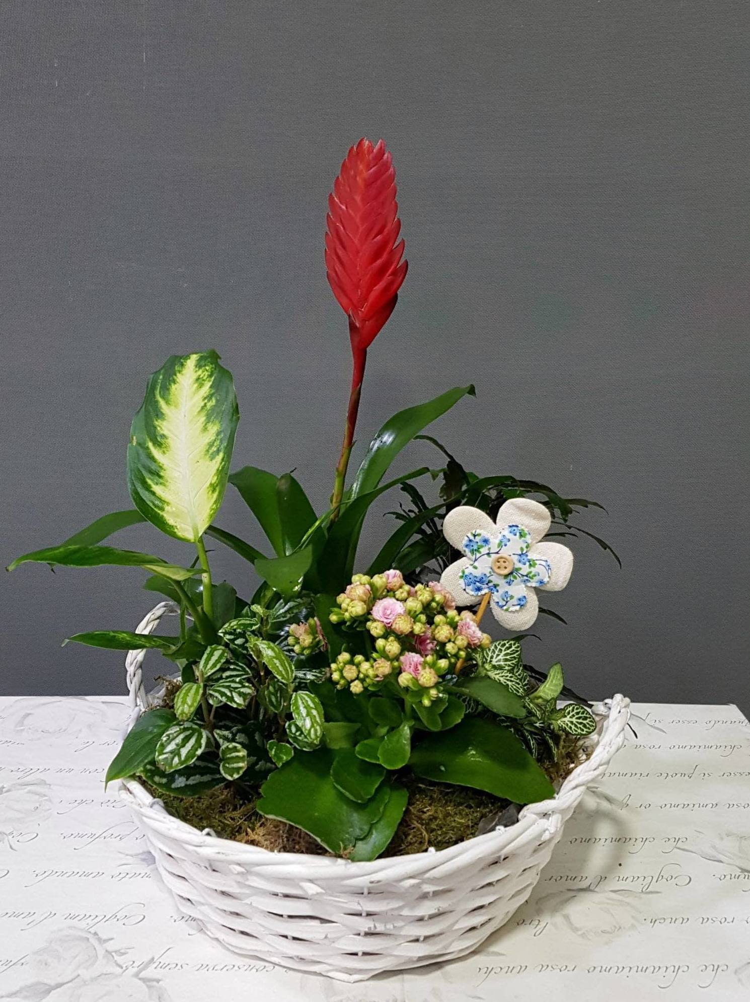 Cesta Harapan Cesta Harapan