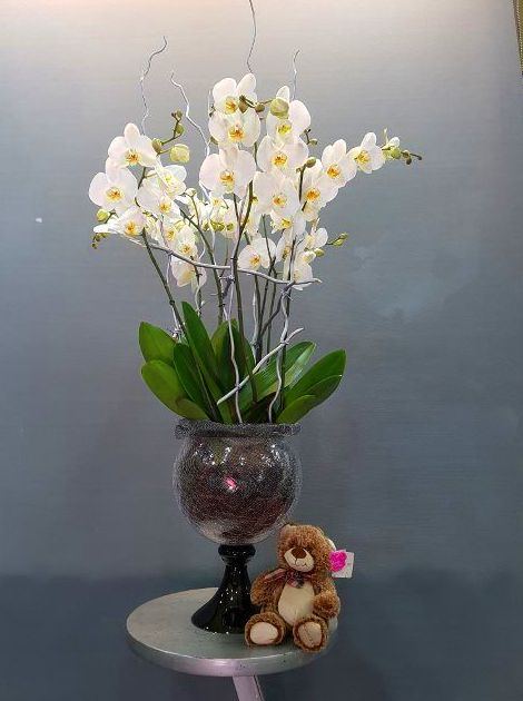 Katmandú: Productos de Flores Madrid Katmandú: Productos de Flores Madrid