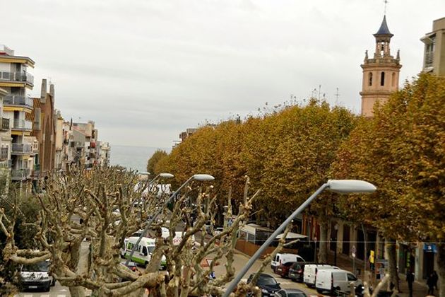 Servicios de mantenimiento: Productos y Servicios de Naturalia Jardiners Servicios de mantenimiento: Productos y Servicios de Naturalia Jardiners