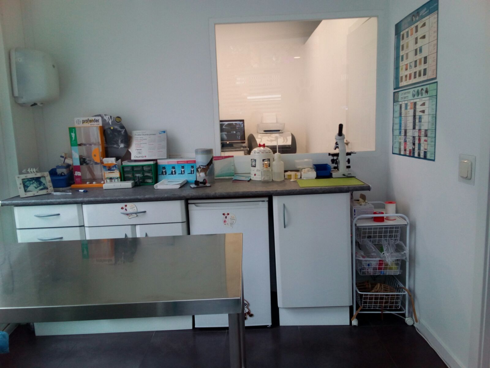 Análisis clínicos veterinarios: Servicios veterinarios de C. V. Gabriel Usera Análisis clínicos veterinarios: Servicios veterinarios de C. V. Gabriel Usera