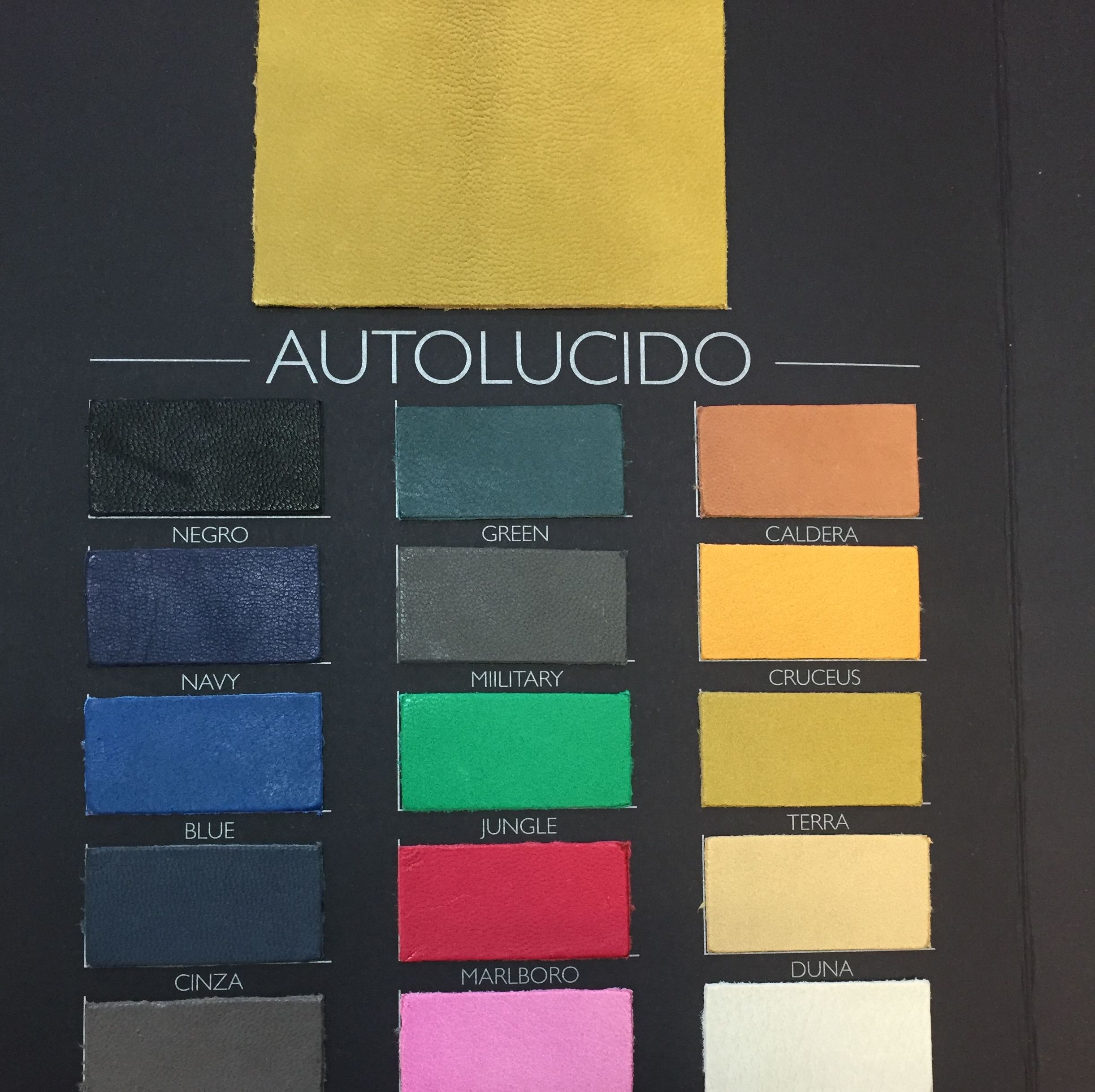 autolúcido autolúcido