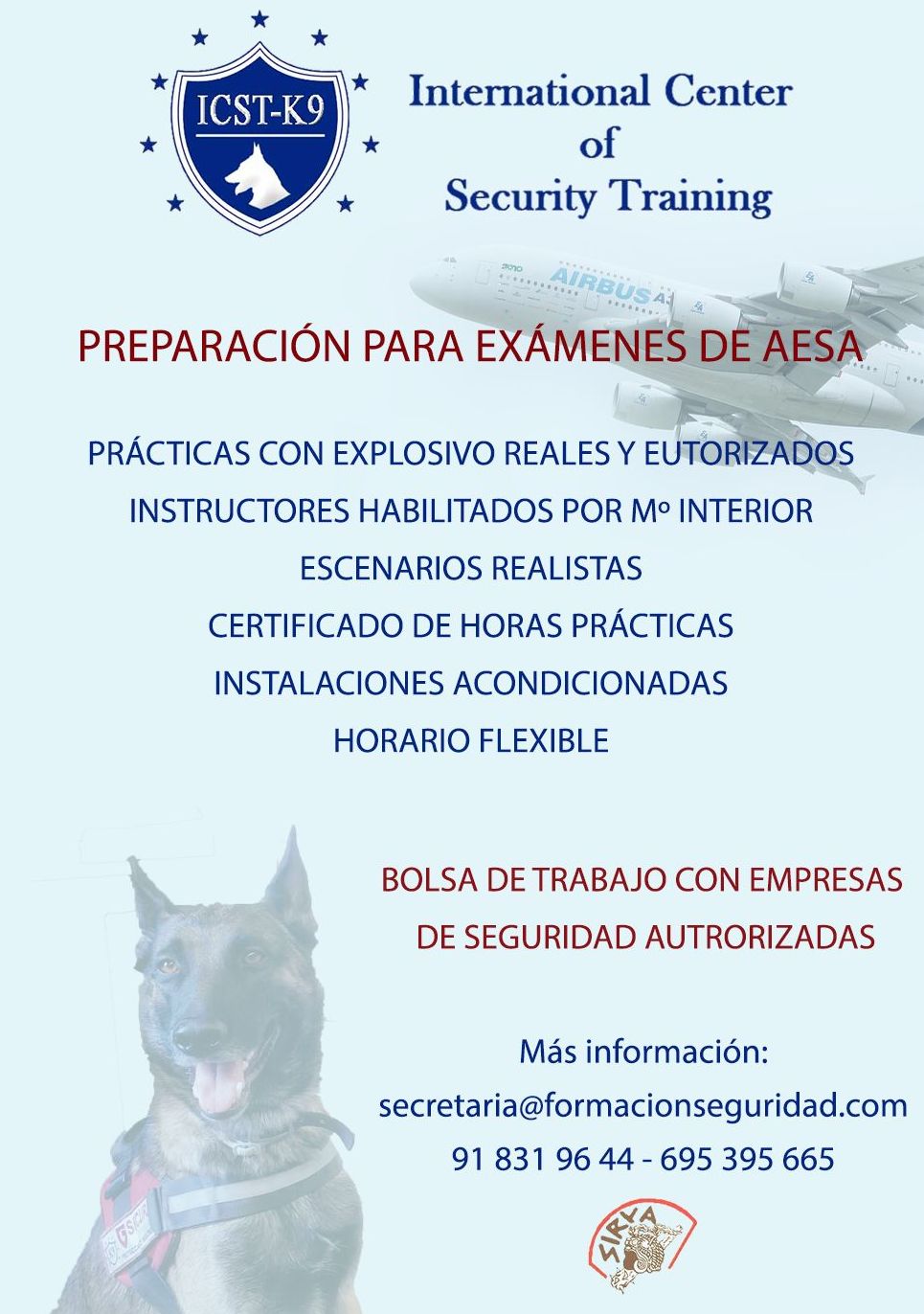 PREPARACIÓN PARA EXÁMENES DE AESA: Cursos de ICST PREPARACIÓN PARA EXÁMENES DE AESA: Cursos de ICST